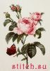 26284.thumb.jpg.ff4a87eae9cc56b53d4f26f976a3e06a.jpg