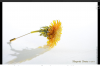 52789493_14.thumb.png.5d4c4c20147d7f368ed741f99630ec45.png