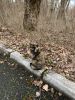 632426B0-17AA-45FF-A59D-CFA03812BA6A.thumb.jpeg.8ed0aa4f63d6f7aad2756961b160ffee.jpeg