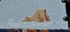 9EEC90CC-C65D-4F37-9726-AA067AC43613.thumb.jpeg.426b8a77f3de8ab7bbe1bce6cfcf3667.jpeg