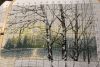 AA874191-2D54-4AB5-BF57-ED3031EE7590.jpeg