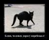 BLIN-CHELOVEK-DOROGU_(DEMOTIVATORY.NET)_1397500717.thumb.jpg.36b073ddbb357fb3a2859e85082bd34b.jpg