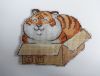 DSC08683.thumb.JPG.f93d04dda5f9befe03ee029fda8c1bab.JPG