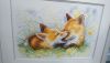 DSC_0748.thumb.JPG.2d8280ef85d771ce4037639216cd7fff.JPG