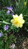 DSC_1038.thumb.JPG.1c8c2e8fd34e696986ecd4ed963efb64.JPG