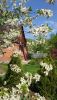 DSC_1042.thumb.JPG.3748ea895189e4348673f369d8e49ed2.JPG