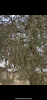 E9E6FB1C-2B68-4252-8C59-9D841C89E14C.thumb.png.d117100b48f5ab5668ee8900213f8f42.png