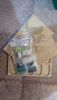 IMG-20220116-WA0004.thumb.jpeg.a36fec7b2a1d6441e85fa02f61602e03.jpeg