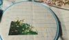 IMG-20220202-WA0013.jpeg