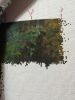 IMG-20220212-WA0001.thumb.jpg.47a0eb22d59c6fe619a42c93edb1d776.jpg
