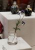 IMG_20210327_194608.thumb.jpg.594b4d39ca2c7df6a46aac3d989c0257.jpg