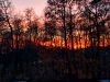 IMG_20211026_172906.thumb.jpg.f6cdd9e6626c7265c7ebfb198ed582c1.jpg