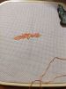 IMG_20220101_162212.jpg