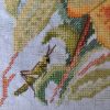 IMG_20220208_160750.thumb.jpg.ad2c3a85bbccacd821a7aed3ff8d576a.jpg
