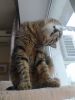 IMG_20220209_091911.thumb.jpg.0062b553f6c54f6485390feeceae122c.jpg