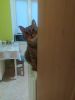 IMG_20220210_071742.thumb.jpg.d84b269a30f3011209d6ba36cec2a1ec.jpg