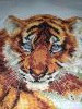 IMG_20220210_110249.thumb.jpg.21415b007906588c8bd70aa8fc9b7d8d.jpg?1644501897542