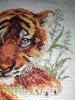 IMG_20220210_110253.thumb.jpg.1754c989ba2c71f3ea25de639d141f21.jpg?1644501907293