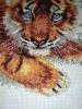 IMG_20220210_110300.thumb.jpg.09556644feccee9d7481e79e0a5833ee.jpg?1644501917434