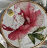 IMG_20220213_125737.thumb.jpg.471cc2e63a99795ca9ce550065c48d61.jpg