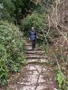 IMG_20220221_141637.thumb.jpg.7392cba9ae28dfdea2ca97c0ead563f1.jpg