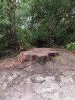 IMG_20220221_142029.thumb.jpg.561c25a9b63dd96324589e090c162be9.jpg?1645701058552