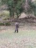 IMG_20220221_160426.thumb.jpg.b59e967666b6e7ccd9d51320dfc57a7b.jpg