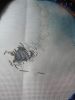 IMG_20220221_234957.thumb.jpg.e6ca8eabfbc36157df7d9c8aa0f4f64d.jpg