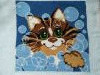 IMG_20220223_092217.thumb.jpg.667c4083f6c8380f1cc54b61ec2d75f4.jpg?1645641882952