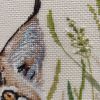 IMG_20220225_114036.thumb.jpg.70c98bc8c73b92edbe60a543dac57d48.jpg