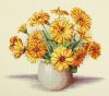 Panna_Calendulas.thumb.jpeg.3bcd12bc3fbf60894de50dcedebad088.jpeg