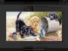 Screenshot_20220206-173325.thumb.jpg.abd7fcaca5f8793afe23cc9e45f9b245.jpg