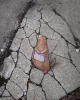 image.thumb.png.16621d260612e884520adfe63fbe7c6d.png