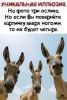 images.thumb.jpeg.1c045a1cd798ec3c553bf262151a8c9a.jpeg