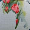 tulips_5.jpg.cde839894fd0238ff485f9521dbd35e5.thumb.jpg.682daad330a1759af750de94fa1eec66.jpg