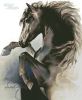 1087127861_BlackFury.thumb.jpg.a3b19b414db48ae02eacbd192b8f1e02.jpg