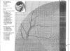 1151257178_JCBL260BluebellLane_chart01.thumb.jpeg.24a64c4f0d147a33264c1c326624b009.jpeg