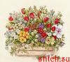 13E419A5-9190-427B-94BE-A6DBACA0BA1A.thumb.jpeg.e5e31bcc3ca6f1134554d3a7ce58b8b2.jpeg