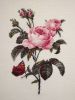 1435518407_.jpg.206a16efdfcbcd81d5a677e534b247b0.jpg