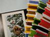 1607440346_.thumb.jpg.830d569603fd3a04c721225b2bc4cb1e.jpg