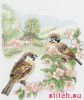 Anchor PCE0500, Spring Sparrow