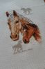 20220302_131842.thumb.jpg.5298f52a2020201277ae1c015ba8a693.jpg
