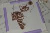 20220308_082927.thumb.jpg.5fa4a6edea171d213501d4e53f60ed65.jpg