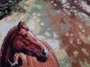 20220315_131122.thumb.jpg.50665e874e064443b66cd9a94dba28fc.jpg