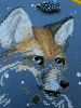 20220316_160952.thumb.jpg.122672ad5c86f8876efe1128685af9a3.jpg