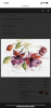 553C70DD-69E2-4294-9483-72C0B7CD25A5.thumb.png.c278e5c8f6d98d91bc2065e7d2af552b.png