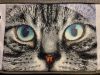 5E48977E-28A1-443D-8FF9-F83B5F87ED9F.jpeg.55b54c815ed2163c167f9645aa6c0306.jpeg