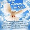 696D7815-C636-4386-B73E-989F6C629FFB.thumb.jpeg.324a1678ce7c3e3be5e6bb9437fc4122.jpeg