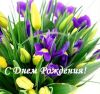 8B8DBC10-E6AE-4E01-8F6E-608A29DA1107.thumb.jpeg.eeab376ca2ee8c9c92a217ed0839868c.jpeg