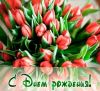 95BF916D-80F1-431E-8A2A-9AE8CA1CE95A.thumb.jpeg.ba3066ccd33e9d98b44f032c88eef563.jpeg